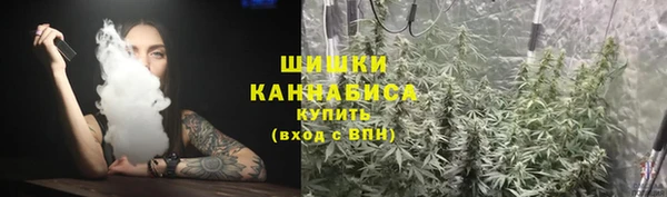 PSILOCYBIN Алзамай