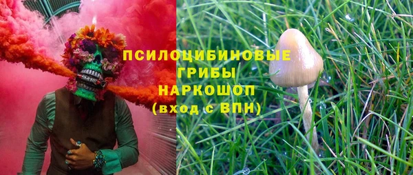 мяу мяу мука Алексин