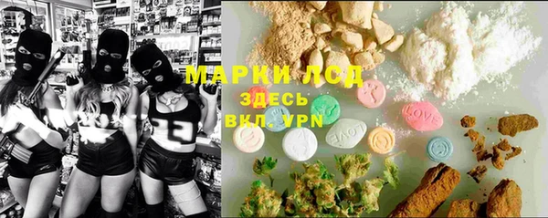 PSILOCYBIN Алзамай