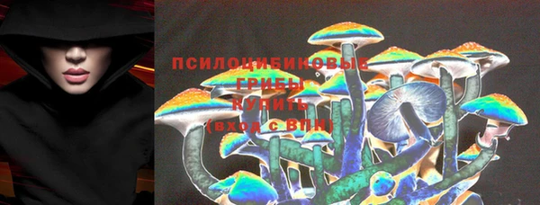 ALPHA PVP Няндома