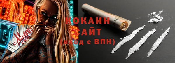 PSILOCYBIN Алзамай