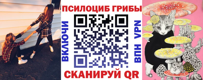Галлюциногенные грибы Psilocybine cubensis  как найти   omg рабочий сайт  Удачный 